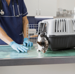 Animal Health Equipment-min