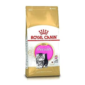 royal canin per kitten