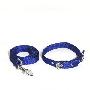 blue nylon belt