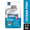 KittyYumsDryPersianCatFood_OceanFish_1.2kg