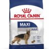 Maxi Adult