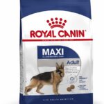 Maxi Adult