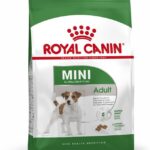 packshot-mini-ad-shn17