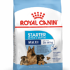 packshot-starter-maxi-shn17