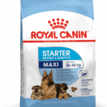 packshot-starter-maxi-shn17