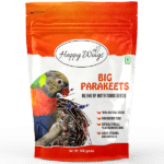 BIG-PARAKEETS_Front_600x6001